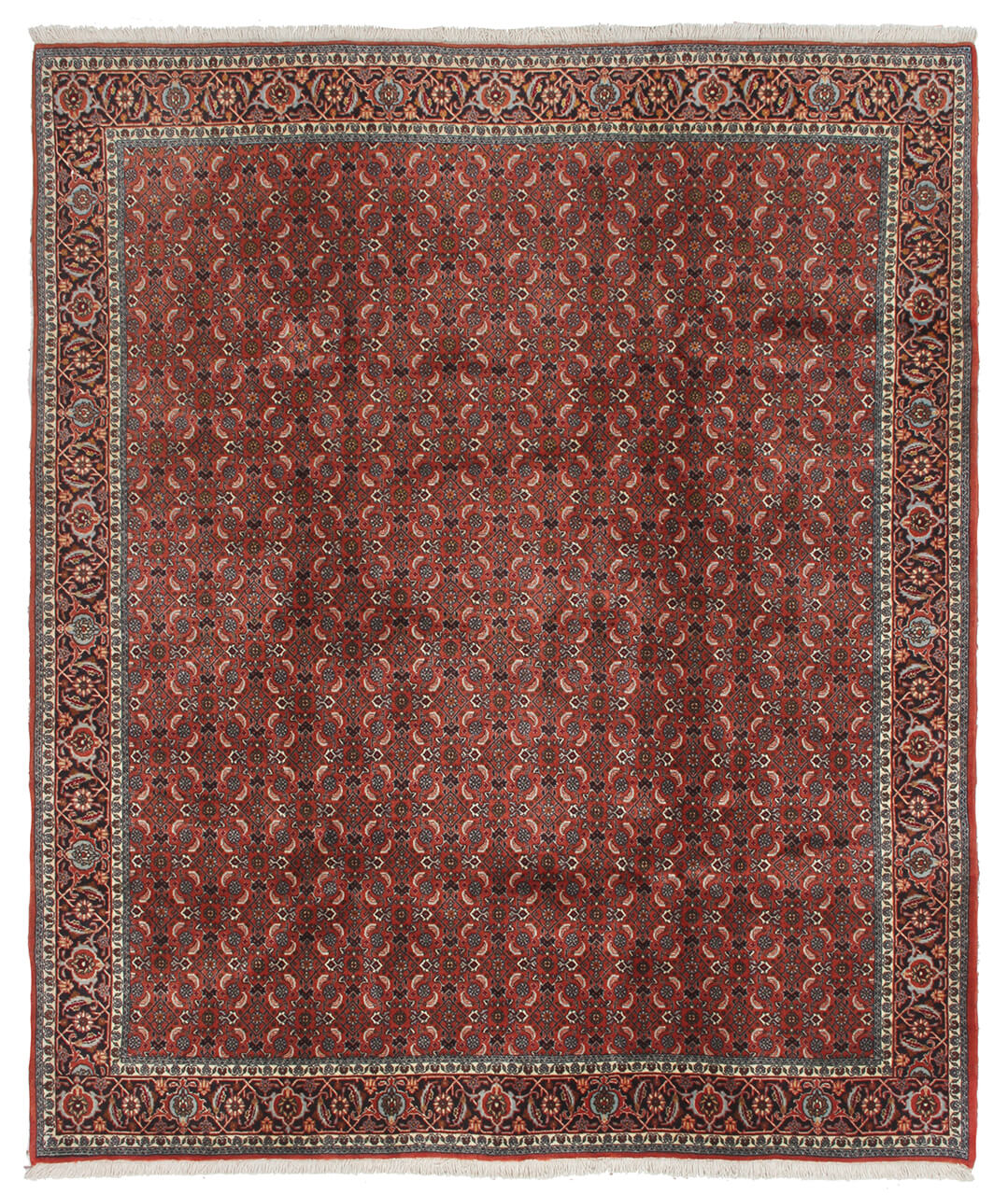 Bidjar Dywan 250x210 Biały (Iran) Ręcznie Tkany