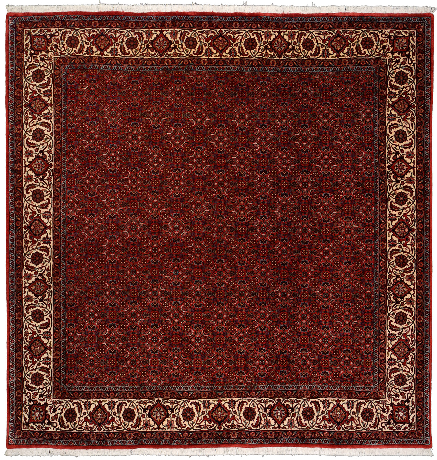 Bidjar Szőnyeg 210x210 Barna (Irán) Kézzel Csomózott