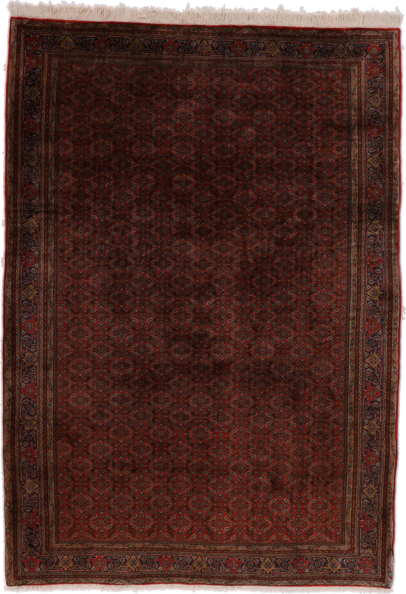 Bidjar Koberec 300x210 Bílá (Írán) Ručně Vázané