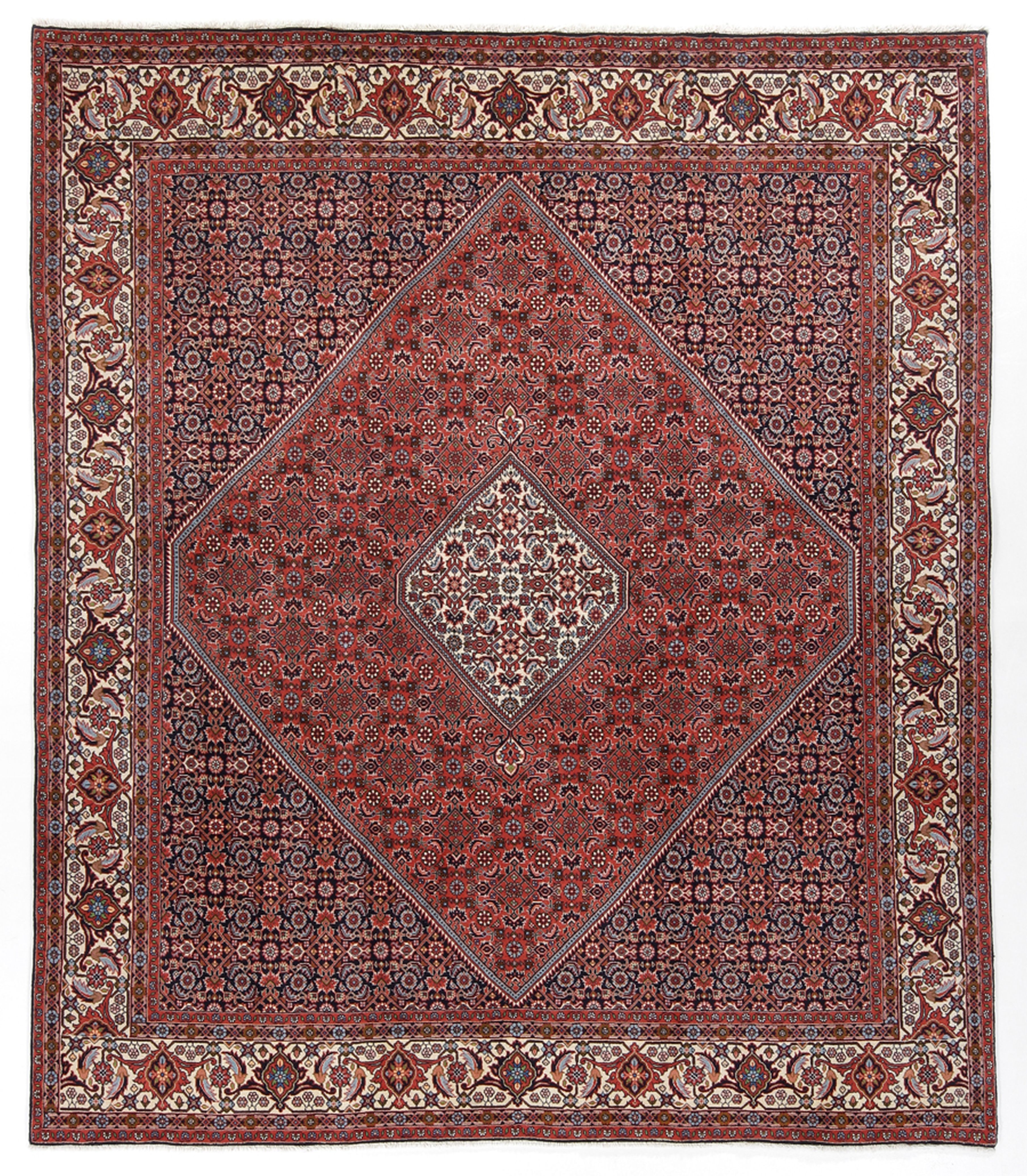 Bidjar Tapis 290x250 Blanc (Iran) Noué À La Main
