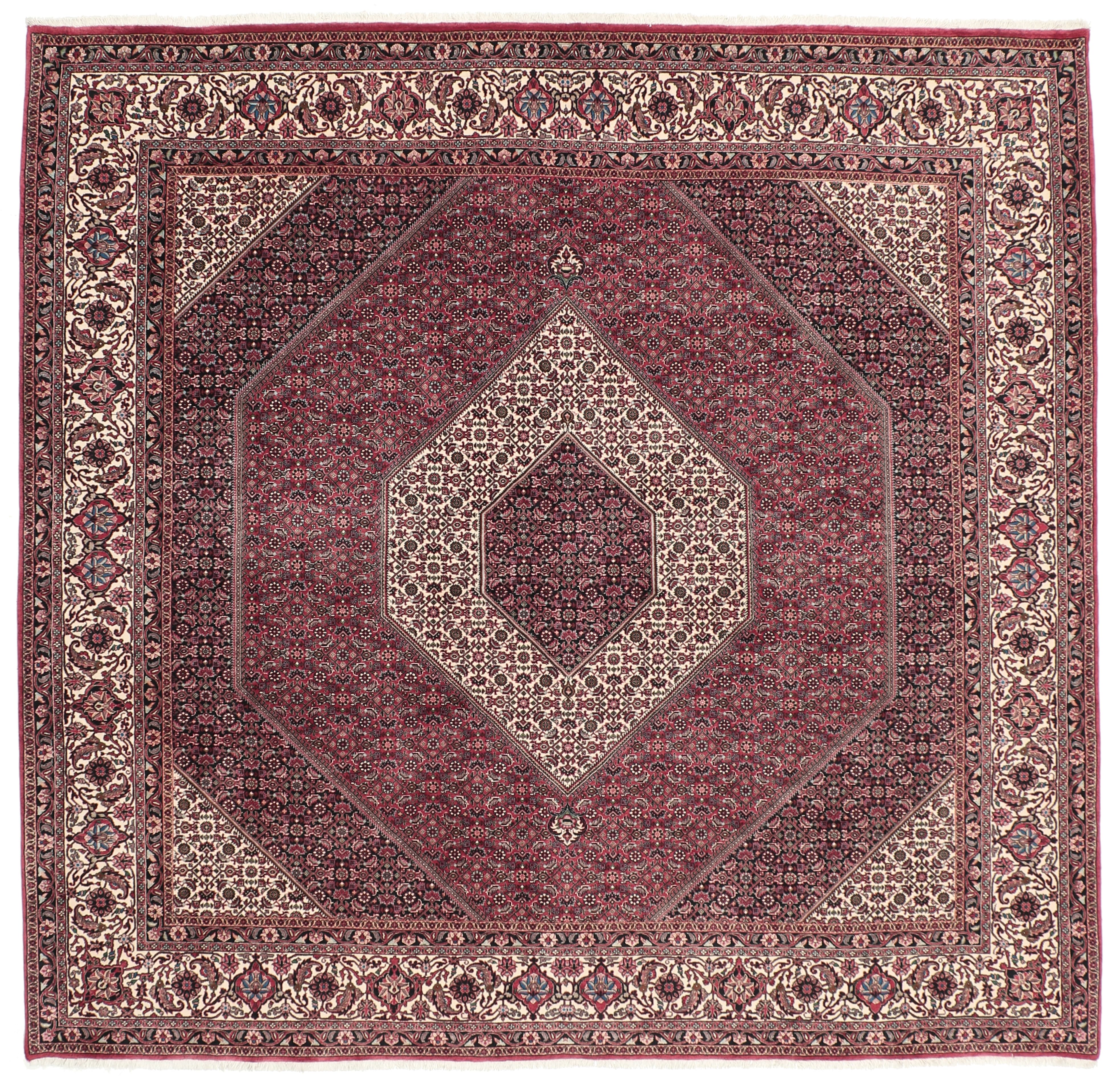 Bidjar Keleti szőnyeg 260x250 Barna (Irán) Kézzel Csomózott